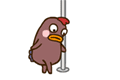 Pole dancing chicken at PMSLweb.com