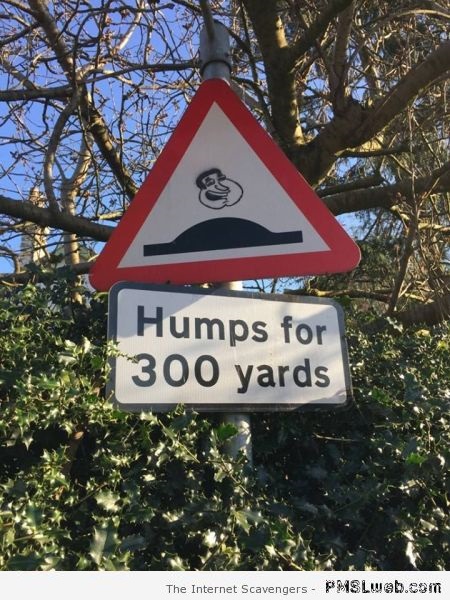 1-funny-humps-sign
