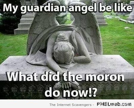 My guardian angel be like meme – Tuesday sarcasm at PMSLweb.com