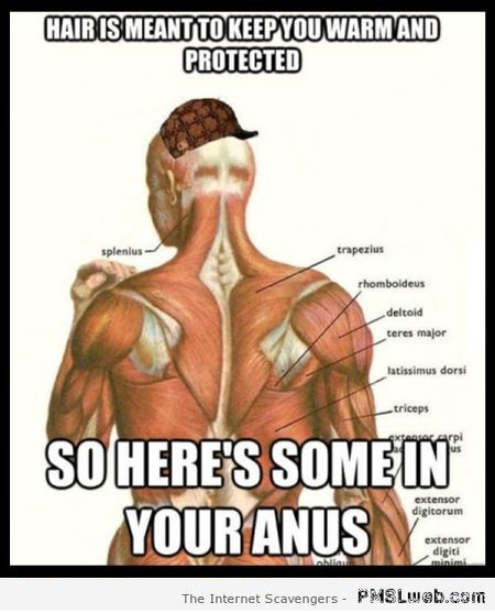 Scumbag anatomy meme – Weekend LMAO at PMSLweb.com