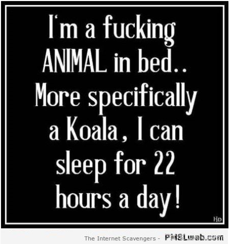 I’m a koala in bed funny quote at PMSLweb.com