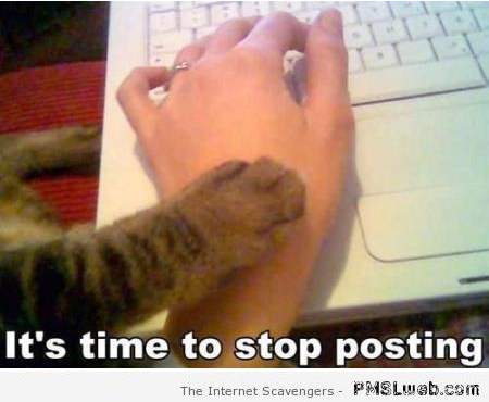 It�s time to stop posting funny cat meme at PMSLweb.com