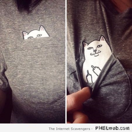 Funny cat FU clothing at PMSLweb.com