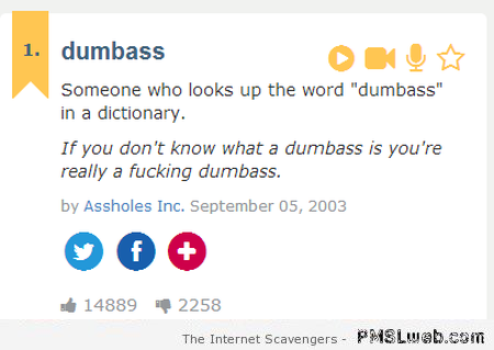 Funny definition of dumbass at PMSLweb.com