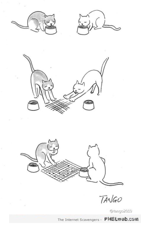 Funny cat cartoon � Hilarious cats at PMSLweb.com