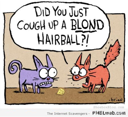 Blond hairball funny cat cartoon at PMSLweb.com