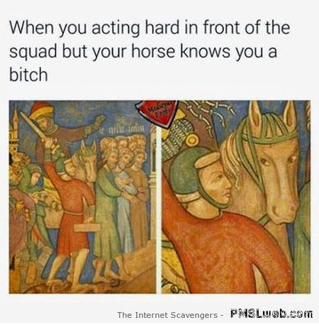 When your horse knows you are a bitch humor at PMSLweb.com
