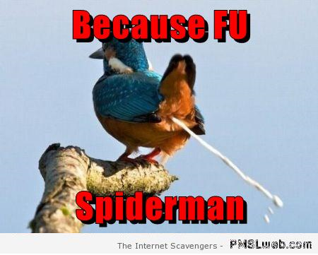 FU spiderman bird meme at PMSLweb.com