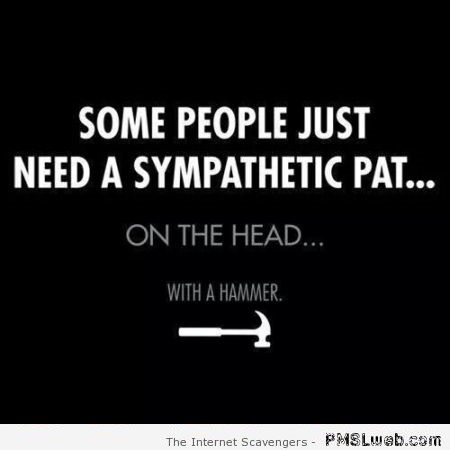 Some people need a pat on the head with a hammer humor at PMSLweb.com