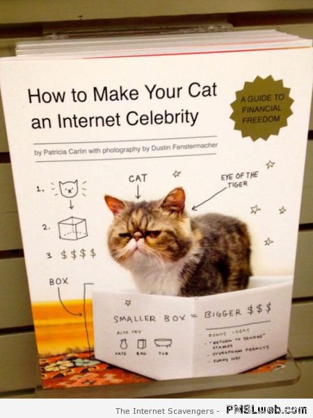 Make your cat an internet celebrity book at PMSLweb.com