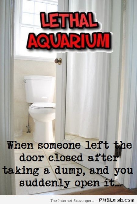 Funny lethal aquarium definition at PMSLweb.com