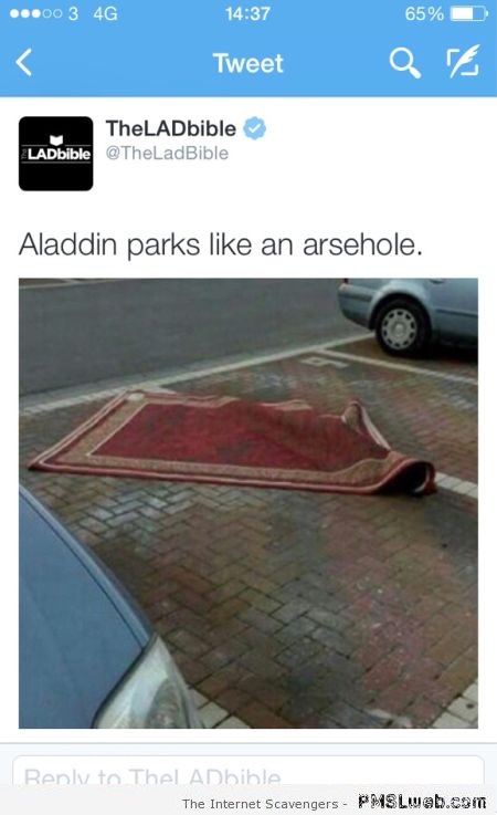 Aladdin parks like an arsehole at PMSLweb.com