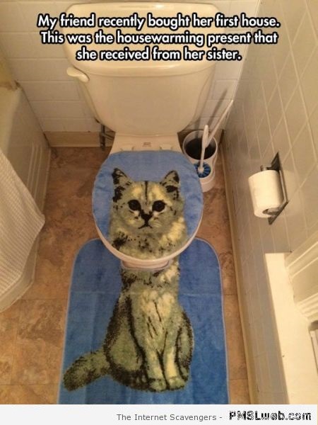 Funny cat toilet set � Hilarious cats at PMSLweb.com