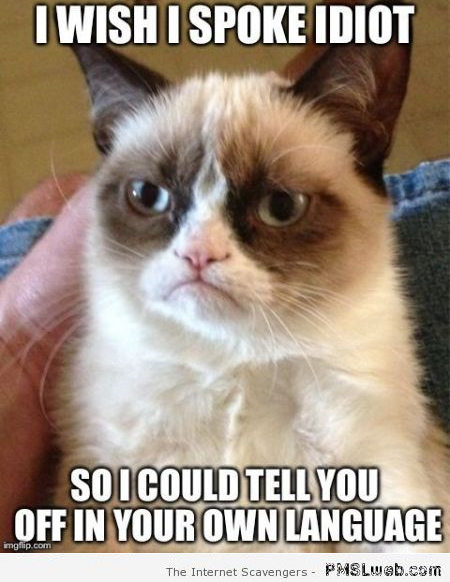 I wish I spoke idiot grumpy cat meme at PMSLweb.com