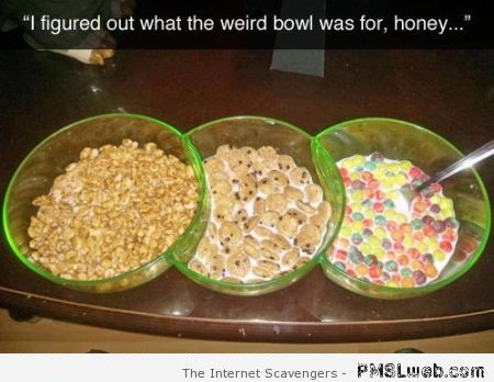 I figured out what the weird bowl was for humor at PMSLweb.com