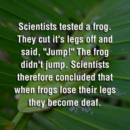 Scientists testing frogs joke at PMSLweb.com