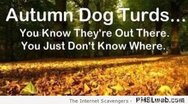 Funny autumn dog turds – Hump day goodies at PMSLweb.com