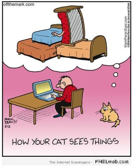 How your cat sees things funny cartoon at PMSLweb.com