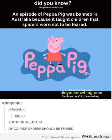 Funny peppa pig in Australia fact – Funny Straya at PMSLweb.com