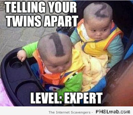 Telling your twins apart meme at PMSLweb.com
