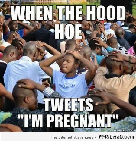 When the hood hoe is pregnant meme at PMSLweb.com