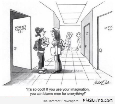 You can blame men for everything funny cartoon at PMSLweb.com