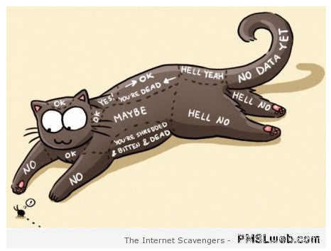 Funny cat petting guide at PMSLweb.com