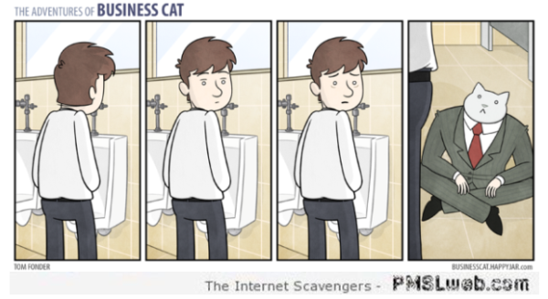 The adventures of business cat in the toilet at PMSLweb.com