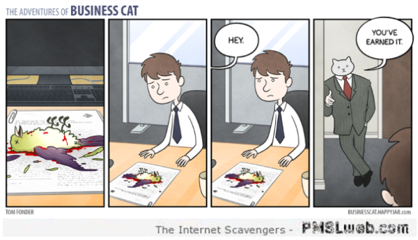 The adventures of business cat the reward at PMSLweb.com