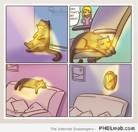 Funny catsu cartoon at PMSLweb.com