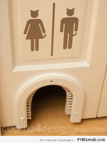 Funny kitty litter door design – Hilarious cats at PMSLweb.com