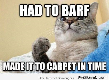 Had to barf cat meme at PMSLweb.com