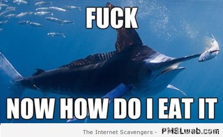 Funny swordfish meme – Wacky Saturday at PMSLweb.com