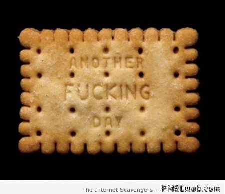 Sarcastic biscuit – Friday mischief at PMSLweb.com
