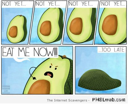 Funny avocado cartoon at PMSLweb.com