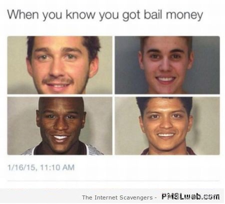 Mugshots when you know you have bail money humor at PMSLweb.com