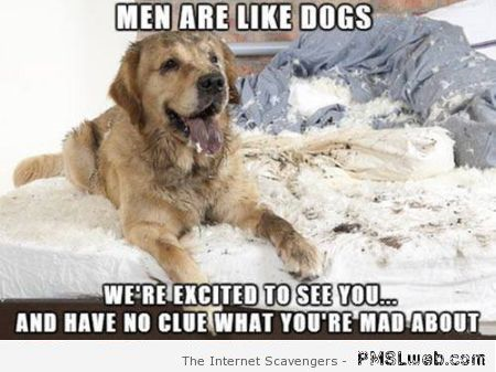 Men are like dogs meme at PMSLweb.com