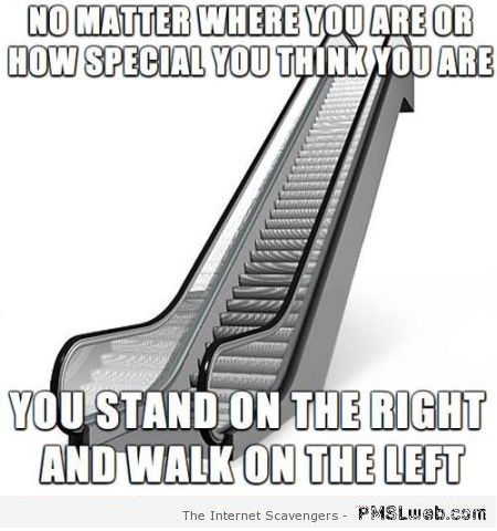 Funny escalator meme at PMSLweb.com