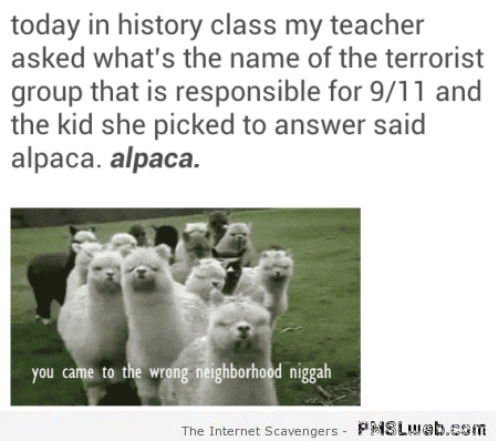 Funny alpaca terrorists at PMSLweb.com