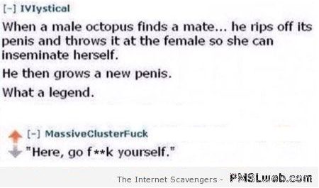 Funny octopus penis fact at PMSLweb.com