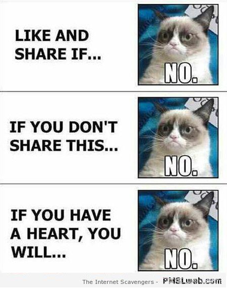 19-how-about-no-Facebook-humor