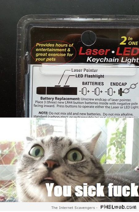 Funny laser led cat meme at PMSLweb.com
