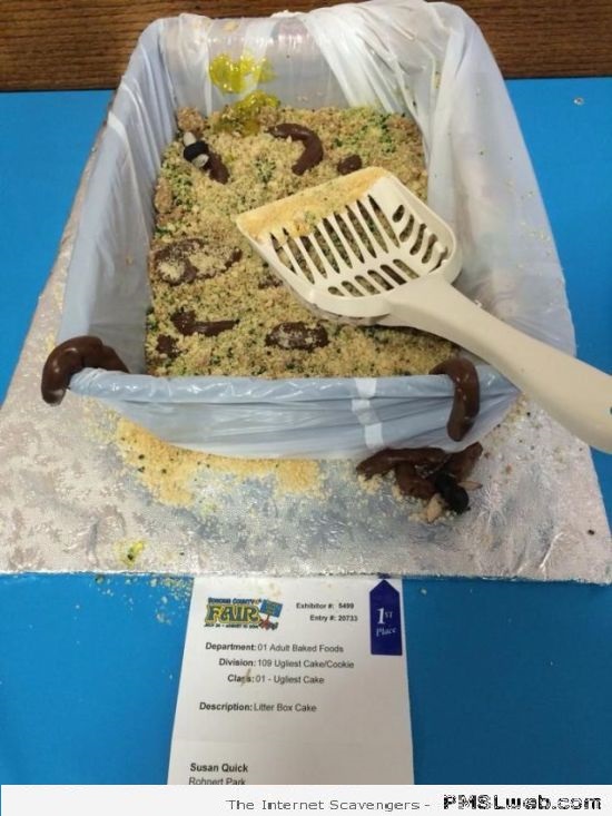 Funny litter box cake – Wednesday chuckles at PMSLweb.com