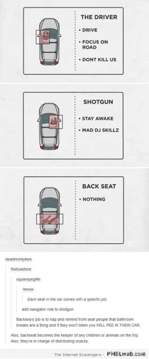 5-funny-car-seat-guide