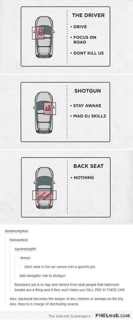 Funny car seat guide at PMSLweb.com