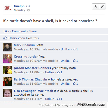 5-turtle-without-a-shell-funny-facebook-comment