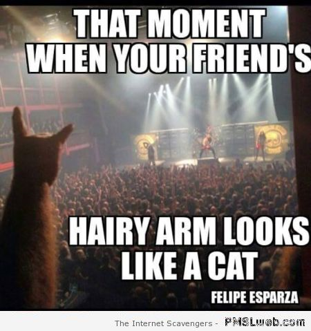 Hairy arm looks like a cat meme � Hump day funniness at PMSLweb.com