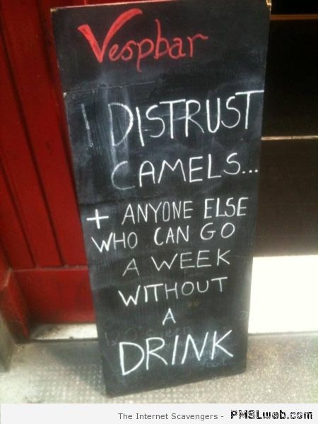 I distrust camels funny sign – Saturday nonsense at PMSLweb.com