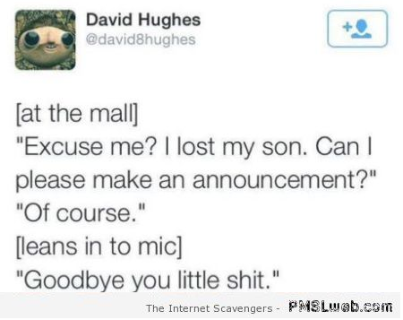 Funny I lost my son at the mall – PMSL funnies at PMSLweb.com