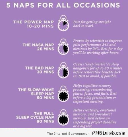 Naps explained – Tuesday hilarity at PMSLweb.com